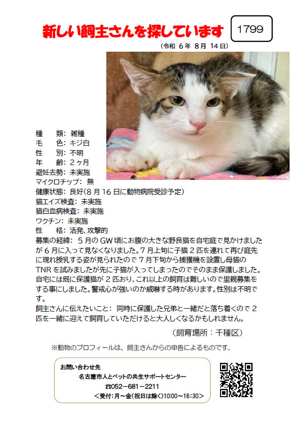 【4】2024年8月14日掲載