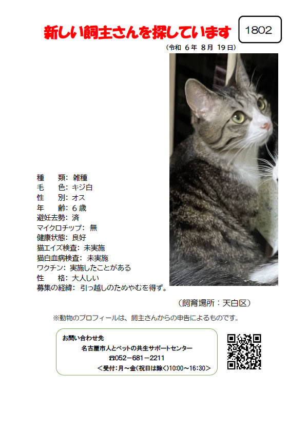 【2】2024年8月19日掲載