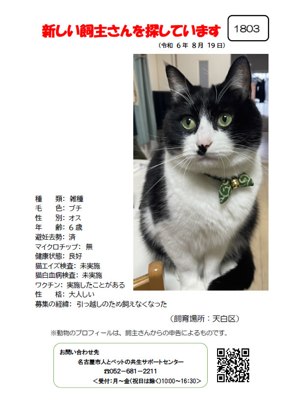 【3】2024年8月19日掲載