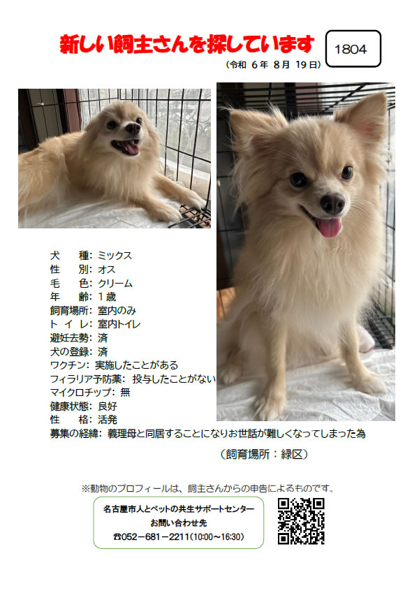 【4】2024年8月19日掲載