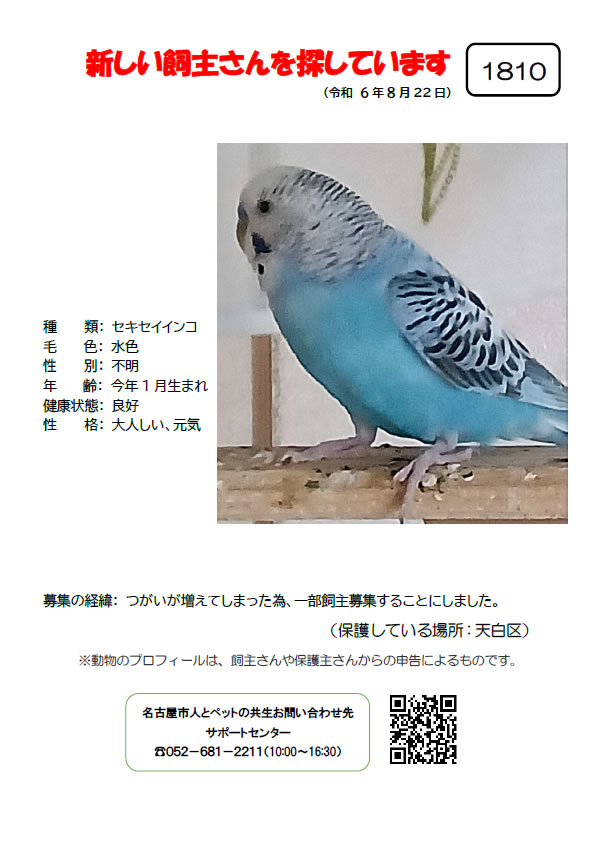 【4】2024年8月22日掲載