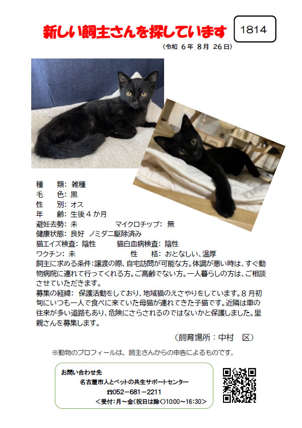 【2】2024年8月26日掲載