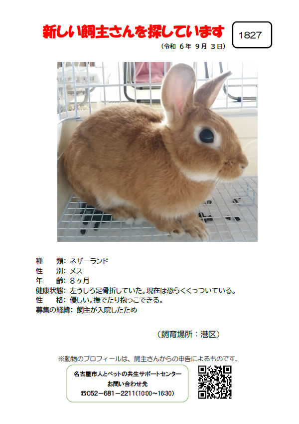 【4】2024年9月3日掲載