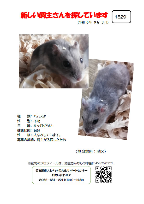 【6】2024年9月3日掲載