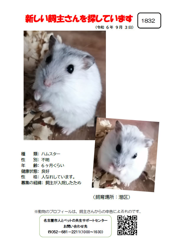 【9】2024年9月3日掲載