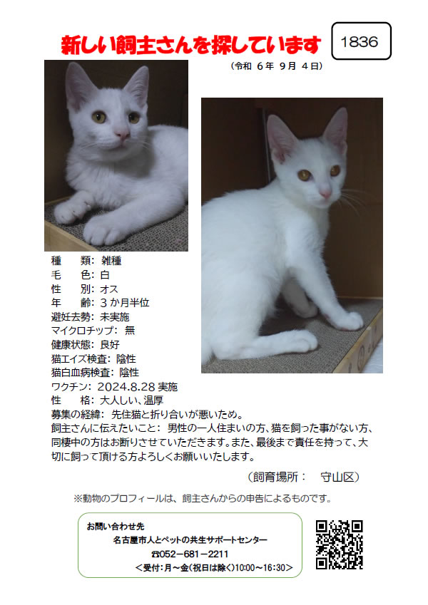 【4】2024年9月4日掲載