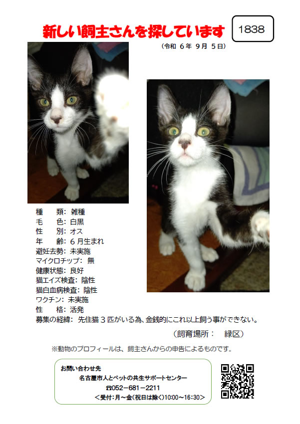 【2】2024年9月5日掲載