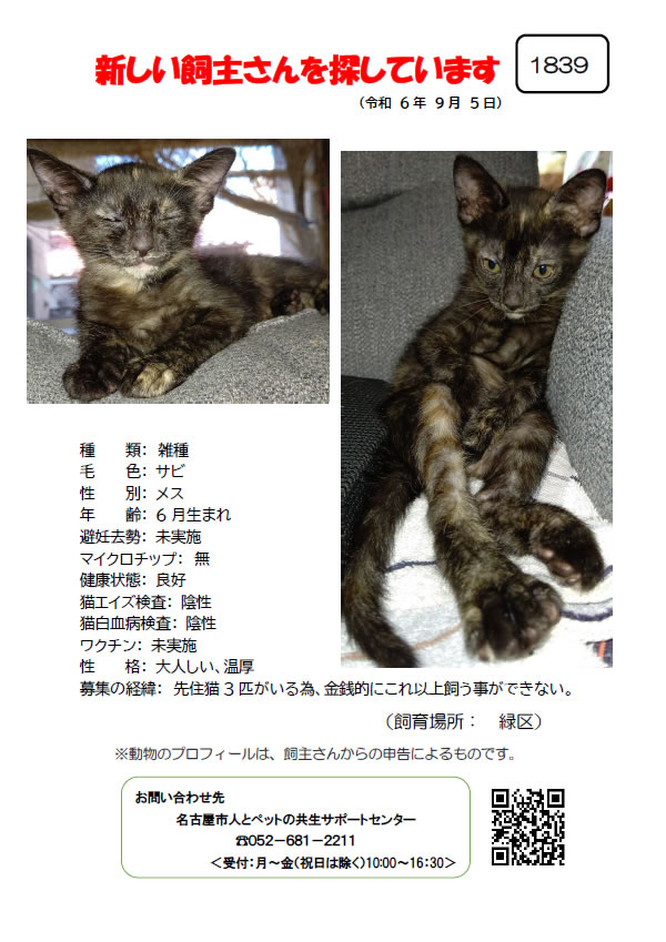 【3】2024年9月5日掲載