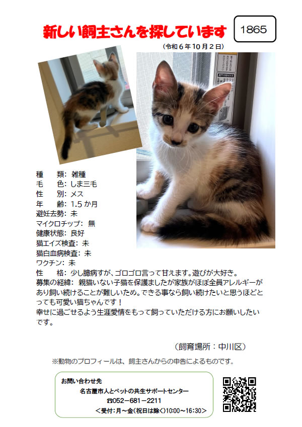 【2】2024年10月2日掲載