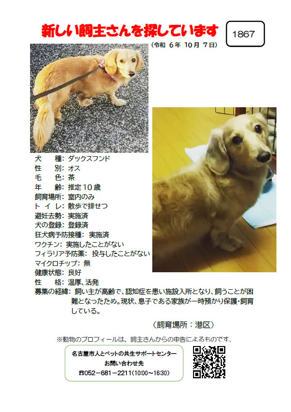【1】2024年10月7日掲載