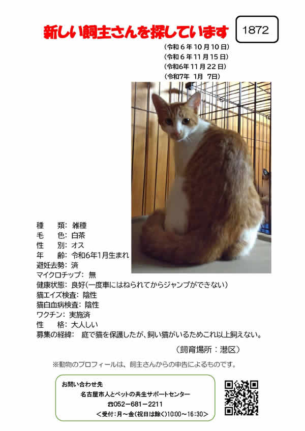 【2】2024年10月10日掲載