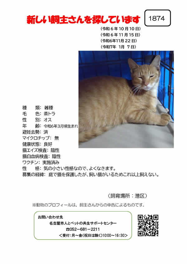 【4】2024年10月10日掲載