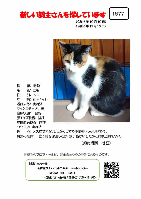【7】2024年10月10日掲載