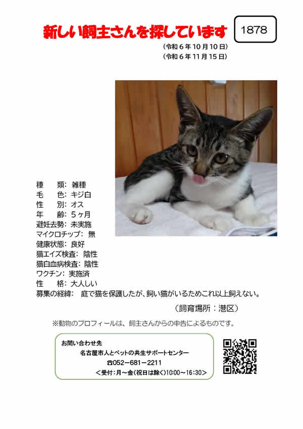 【8】2024年10月10日掲載