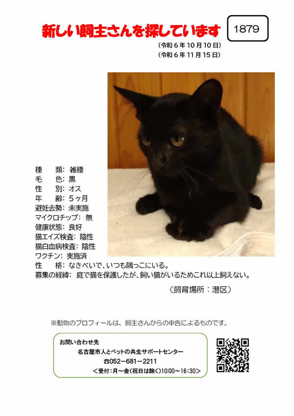 【9】2024年10月10日掲載