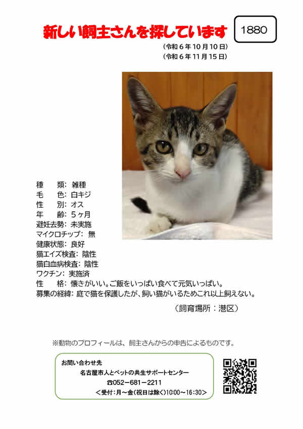 【10】2024年10月10日掲載