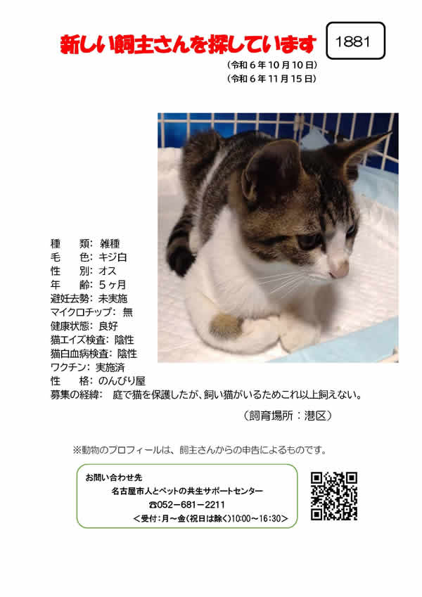 【11】2024年10月10日掲載