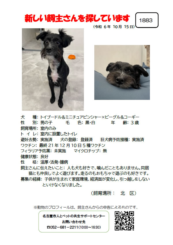 【1】2024年10月15日掲載