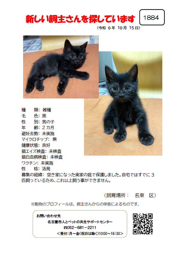 【2】2024年10月15日掲載