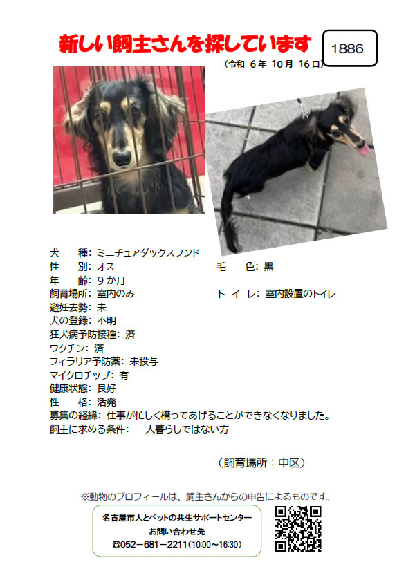 【1】2024年10月16日掲載