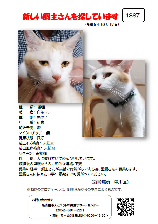 【1】2024年10月17日掲載