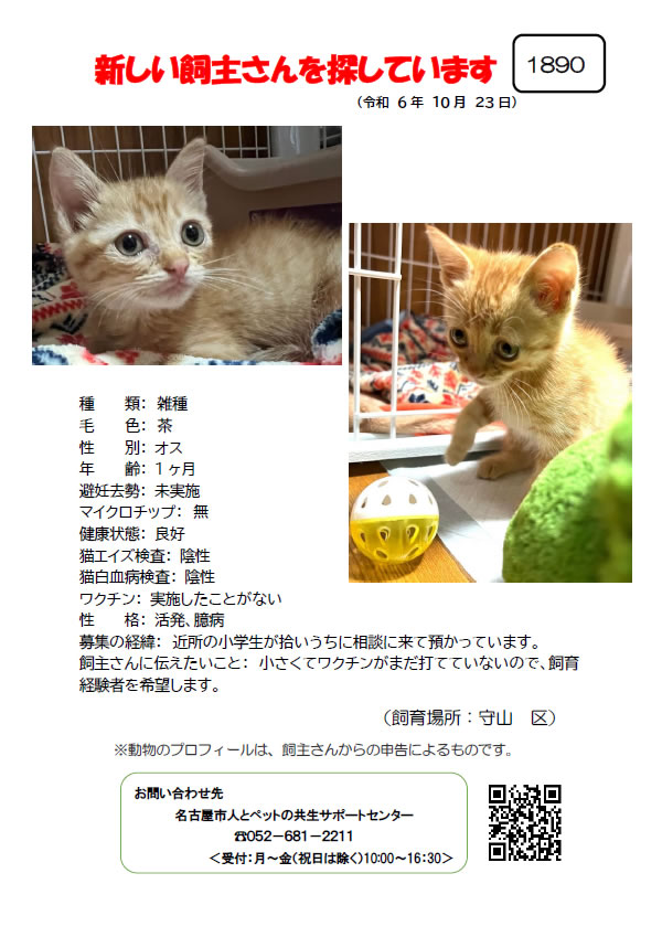 【1】2024年10月23日掲載