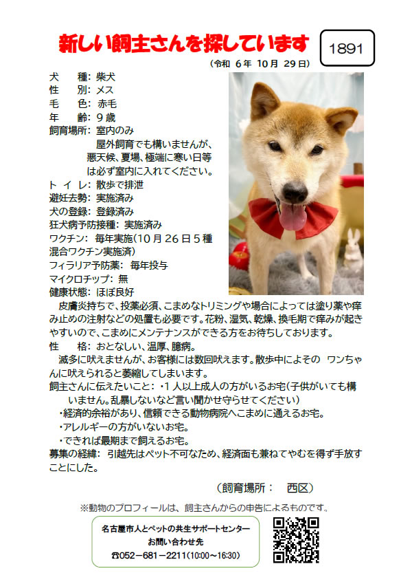 【1】2024年10月29日掲載