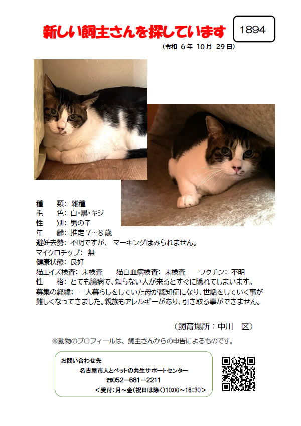 【4】2024年10月29日掲載
