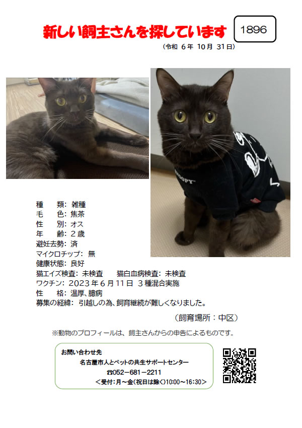 【1】2024年10月31日掲載