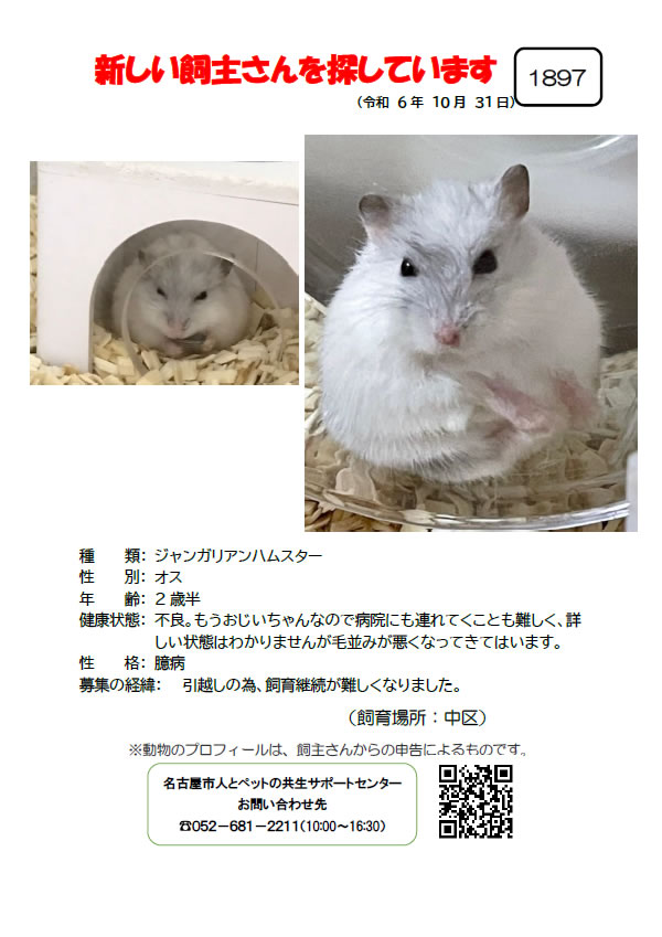 【2】2024年10月31日掲載
