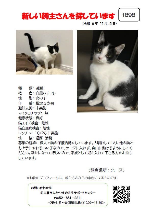 【1】2024年11月5日掲載