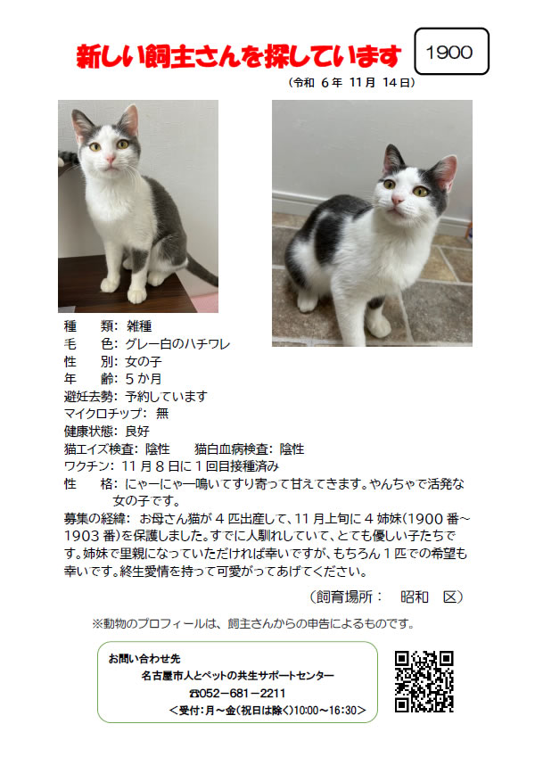 【1】2024年11月14日掲載