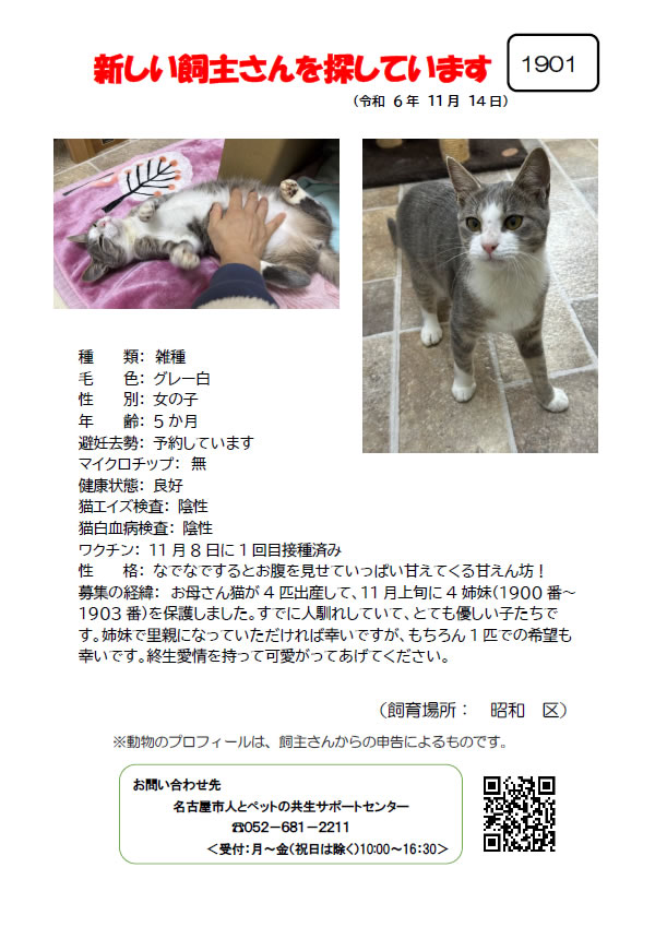 【2】2024年11月14日掲載