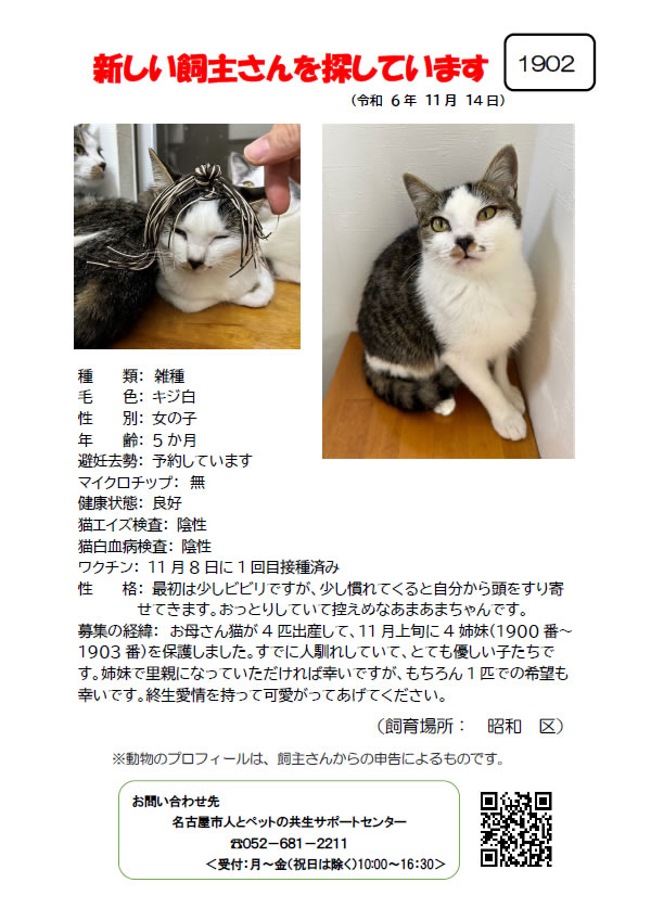 【3】2024年11月14日掲載