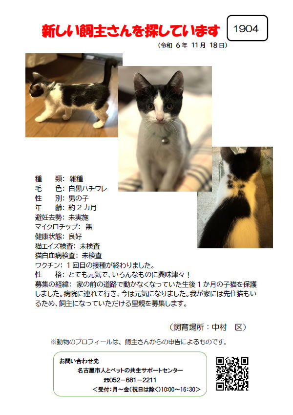 【1】2024年11月18日掲載