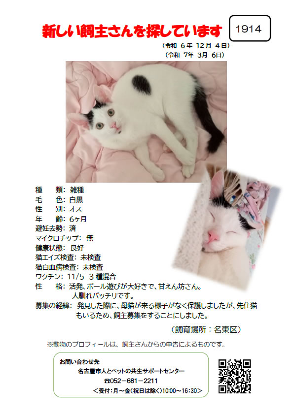 【1】2024年12月4日掲載