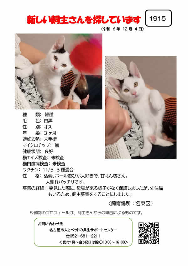 【2】2024年12月4日掲載