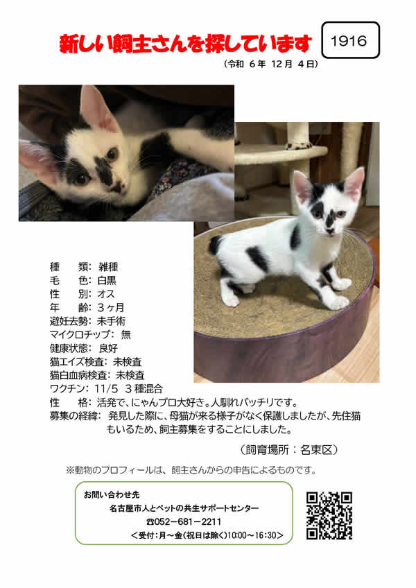 【3】2024年12月4日掲載