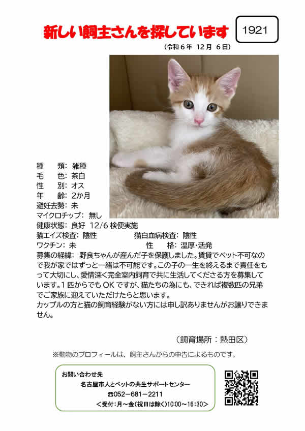 【1】2024年12月6日掲載
