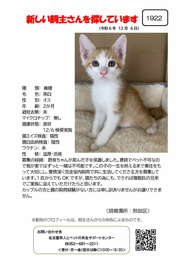 【2】2024年12月6日掲載