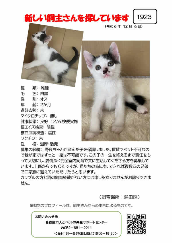 【3】2024年12月6日掲載