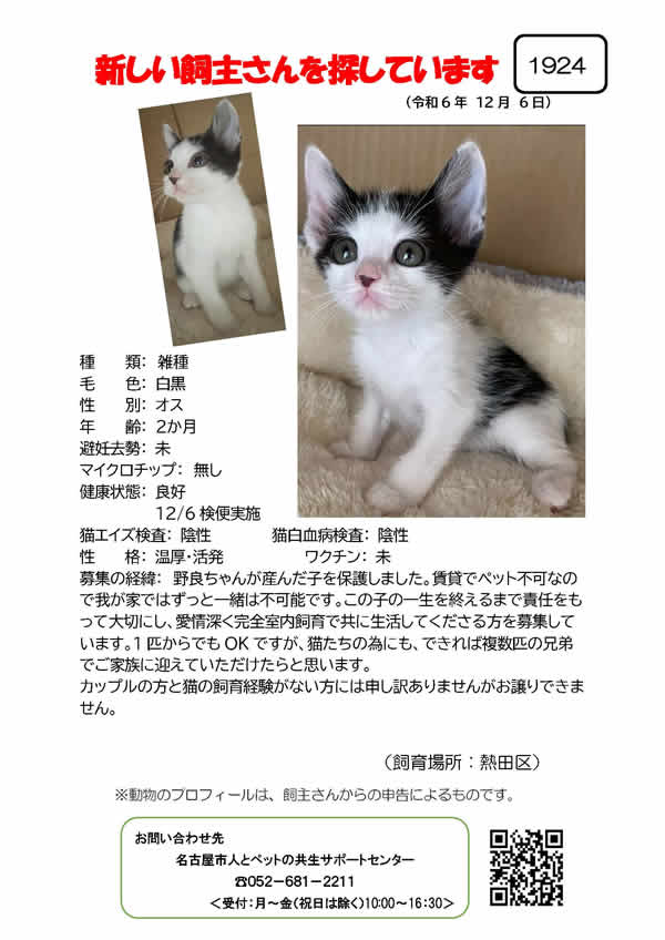 【4】2024年12月6日掲載