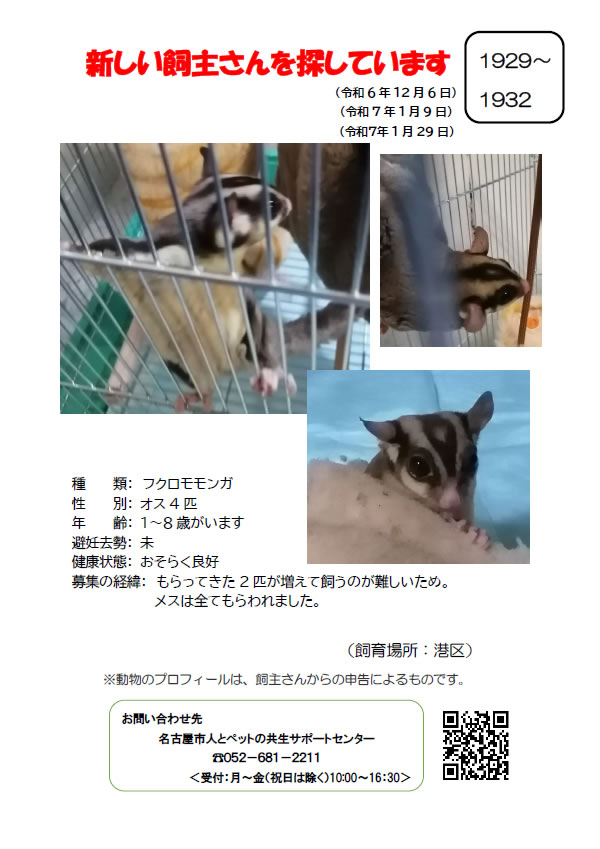 【5】2024年12月6日掲載