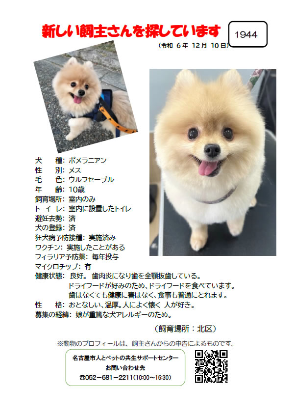 【2】2024年12月10日掲載