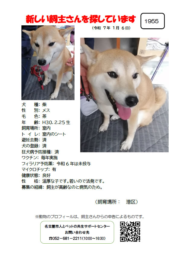 【2】2025年1月6日掲載