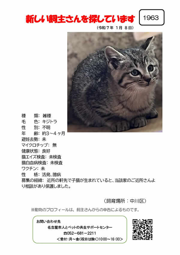 【8】2025年1月8日掲載