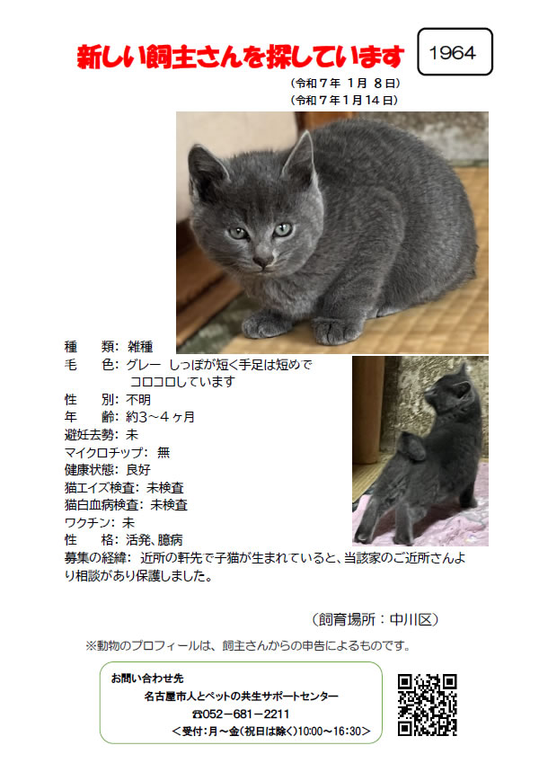 【9】2025年1月8日掲載