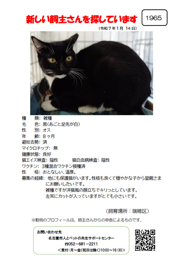 【1】2025年1月14日掲載