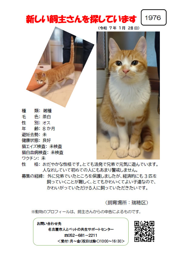 【2】2025年1月29日掲載