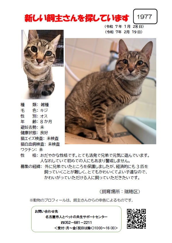 【3】2025年1月29日掲載